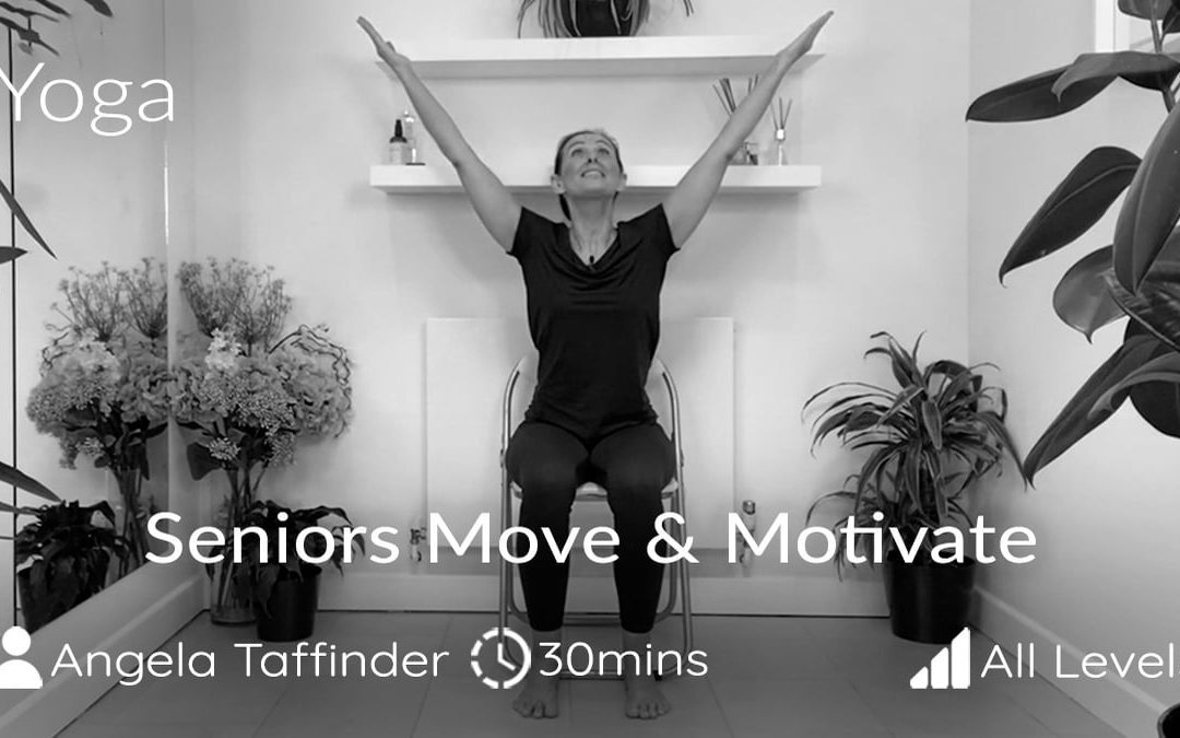 Seniors Chair Move & Motivate